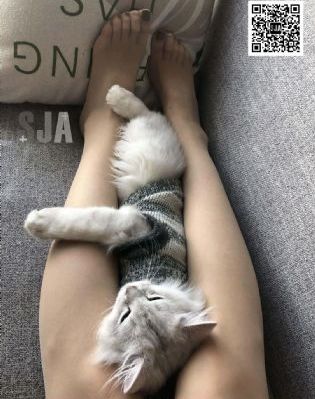 免费高清久久三级_全集高清在线观看